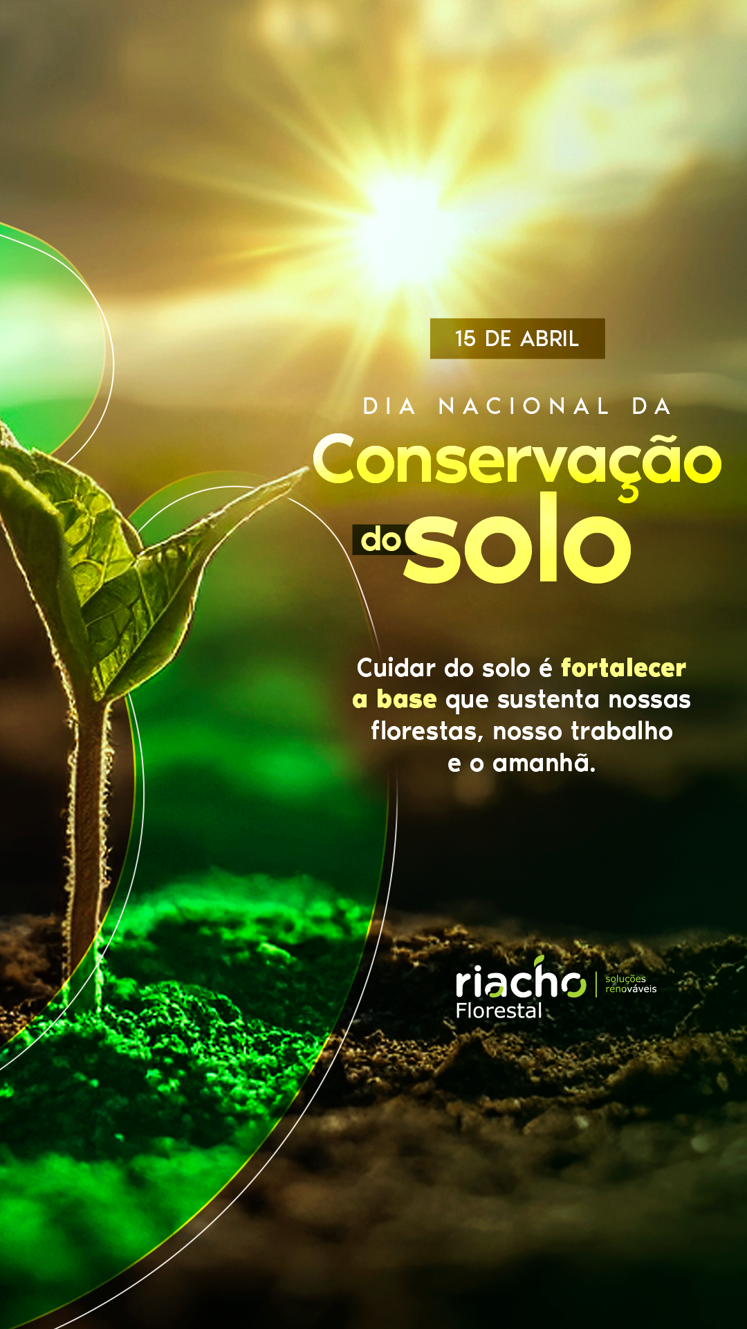 Redes Sociais | Riacho Florestal